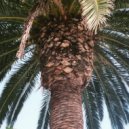 Jack Priest - Forever On Hold, Forever On Holiday (Original Mix)