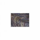 Mindfulness Healing Sleep BGM Project - Incantation & Sensitivity