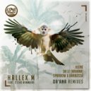 Hallex M Feat. Stevo Atambire - Da'Ana
