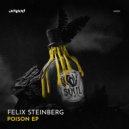 Felix Steinberg - Linear Vision