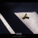 Bassienda - Feeling Fly
