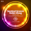 Sentinel Groove & Robin Moog - Deeper Love (Original Mix)