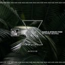 Nari & Steve Tosi - Stars Song