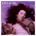 Kate Bush - Running Up That Hill