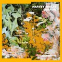 Harvey McKay - Midnight (Original Mix)