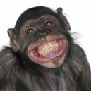PASHA - CRAZY MONKEY ()