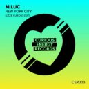 M.Luc - New York City (Lizzie Curious Radio Edit)