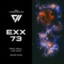 Erika Krall, Lian Gold - Never Ever
