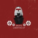 8Kays - Aurora Borealis