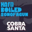 COBRA SANTA - Mein Code