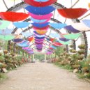 Francisco Duke - Loi em Ve Voi Va