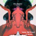 Cosmosolar - Shake The Pawn