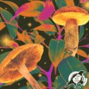 Sex on Decks - Amphibian (Trevor Gordon Remix)