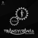 Transylvania Damn Fun - Florareasa ()