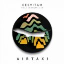 Cesvitam - Tea Bag (Original Mix)
