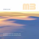 Stereolynk - Moments with You