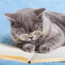 Life\'s Melody - Angel Eyes (Original Mix)