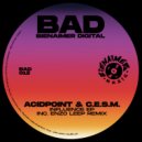 Acidpoint & C.E.S.M. - Since90 (Original Mix)
