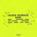 Gallegos - Stop Continue (Original Mix)