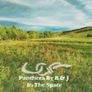 Panthera By B & J - In The Space (Original Mix)