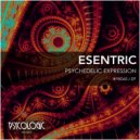 Esentric - Look At The Bird (Original Mix)