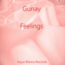 Gunay - Feelings