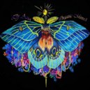 Dj Asia - Organic Mixed