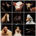 AndyK & MC V3rb - Rattling Mainframes (feat. MC V3rb)