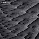 Pascual - Methodology