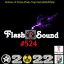 SVnagel ( LV ) - Flash Sound #524 by ()
