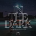 Tjalling Reitsma x Jan Rosenthal - In The Dark