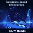 Professional Sound Effects Group & Zedd 7 & Jaiden James EDM & Seraphina Jane & The Music Man - EDM Beat Goes On 26