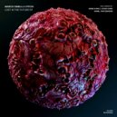 Marco Ginelli, PITCH! - Lost In The Future