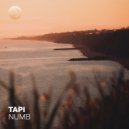 TAPI - Numb