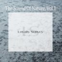 VS51 - Lock