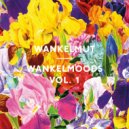 Wankelmut - Wankelmoods Vol. 1