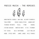 Franz Alice Stern - To Survive (SoKooL Remix)