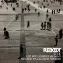 Reboot - Are You Loosing My Mind