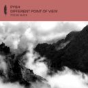 Pysh - Different Point of View (Max Joni Remix)