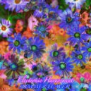 Electronic Harassment - Summer Feaver