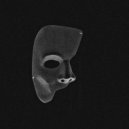 HINZY - ASTRXLTRXIN ()