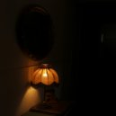 fm 32.3 - mono light. ()