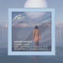 Andre Moret - Coming Home