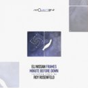 Eli Nissan - Frames