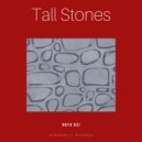 Noya Kei - Tall stones (Original Mix)