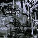 PROPHETPLAYA & DJ PLAYAMANE - Like Kuraga