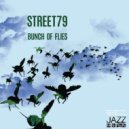 Street79 - Bunch of Flies (Original Mix)