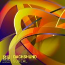 Dachshund - Harmony