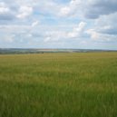 Djek Semter - Are You Scared ()