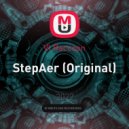 Dj Vl Raccoon - StepAer